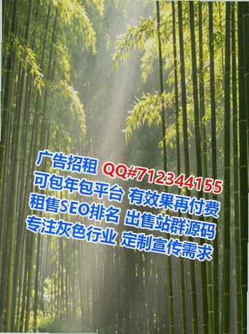 新余试管路桥公司